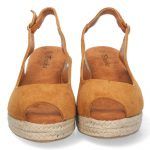 YJ635-Camel_0.jpg