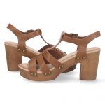 DB-2353-Camel_0.jpg