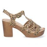 DB-2353-Leopardo_0.jpg