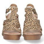 DB-2353-Leopardo_0.jpg