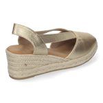 CF-3044-Oro_0.jpg