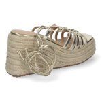 TF1009-Oro_0.jpg