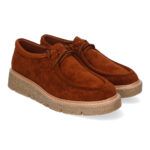 YZ24-039-Camel_0.jpg