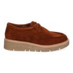 YZ24-039-Camel_0.jpg
