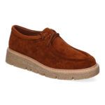 YZ24-039-Camel_0.jpg