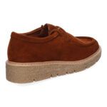 YZ24-039-Camel_0.jpg