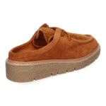 YZ24-040-Camel_0.jpg