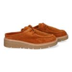 YZ24-040-Camel_0.jpg