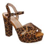 Y5628-Leopardo_0.jpg