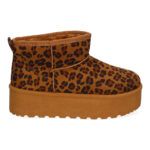 6BKA-Leopardo_0.jpg