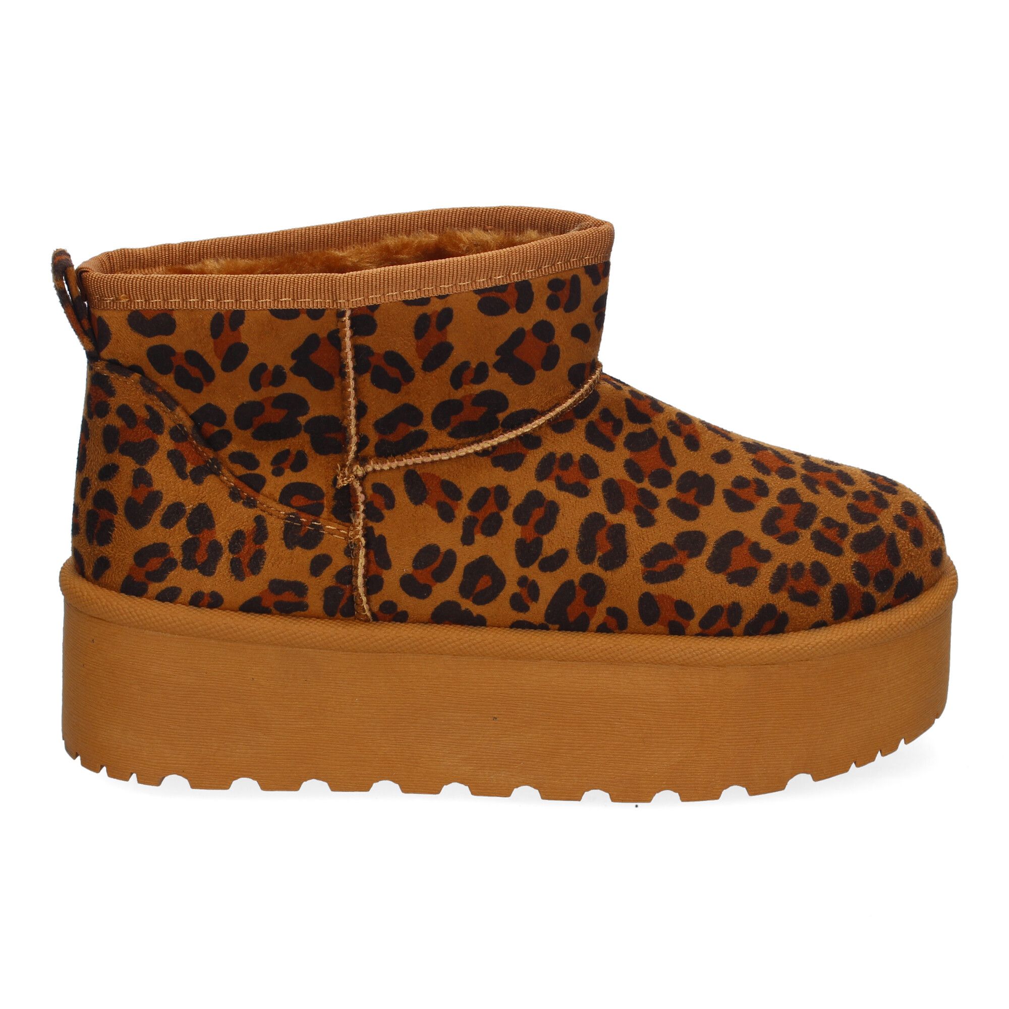 6BKA-Leopardo_1.jpg