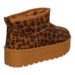 6BKA-Leopardo_0.jpg
