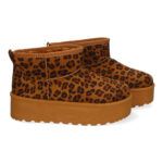 6BKA-Leopardo_0.jpg