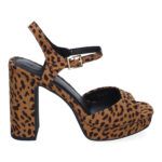 A-3484-Leopardo_0.jpg