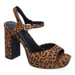 A-3484-Leopardo_0.jpg