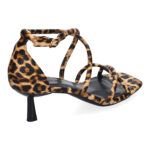 B-5099-Leopardo_0.jpg