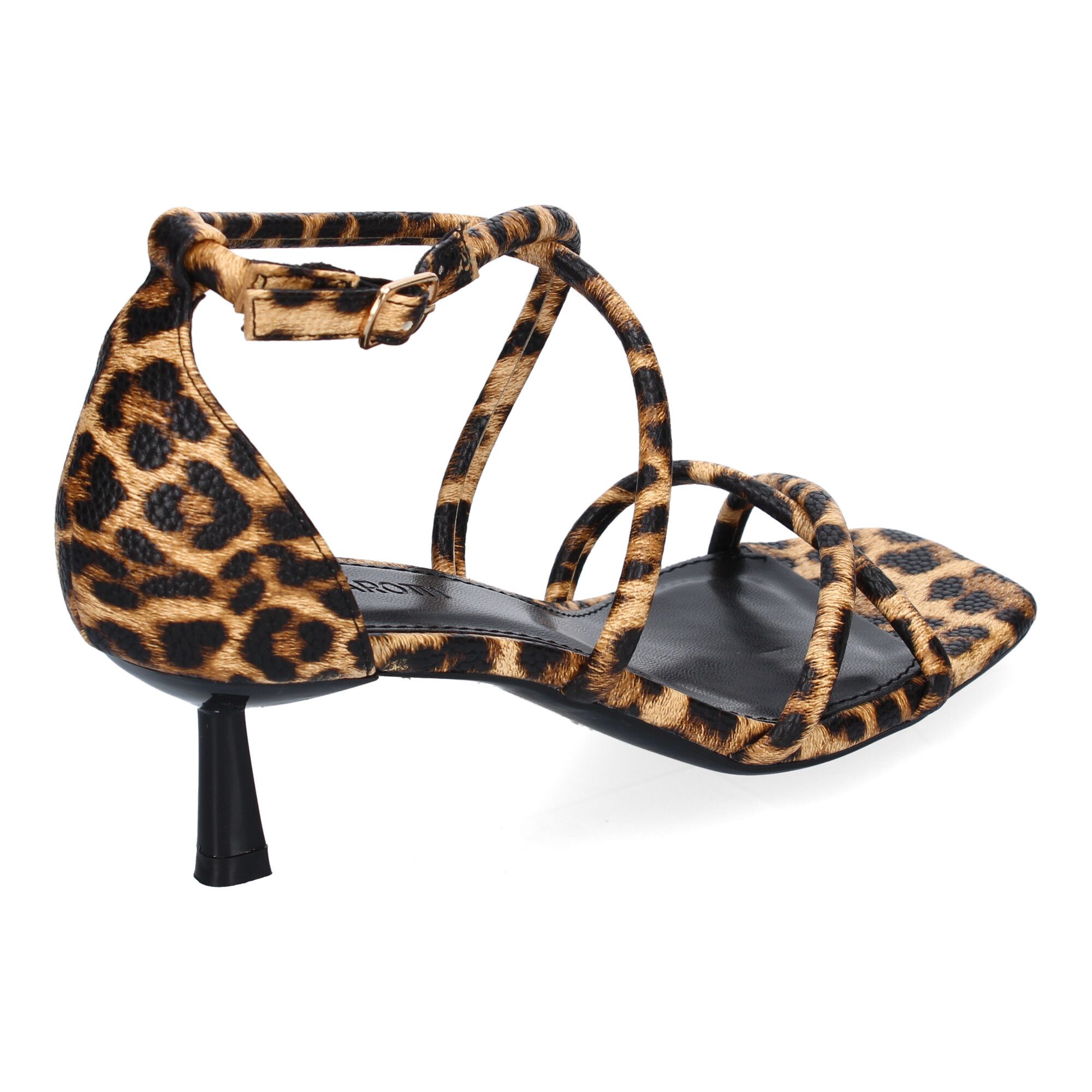 B-5099-Leopardo_3.jpg