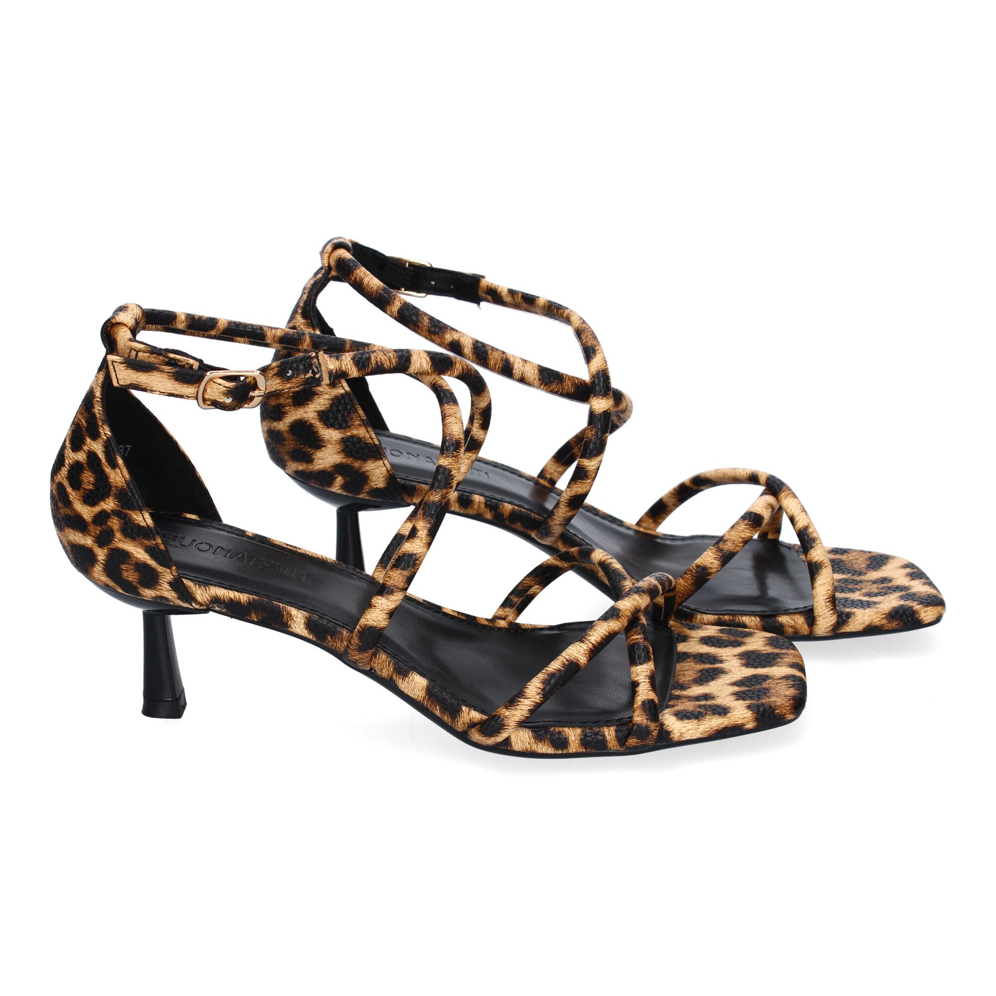 B-5099-Leopardo_4.jpg