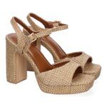 A-5167-Camel_0.jpg