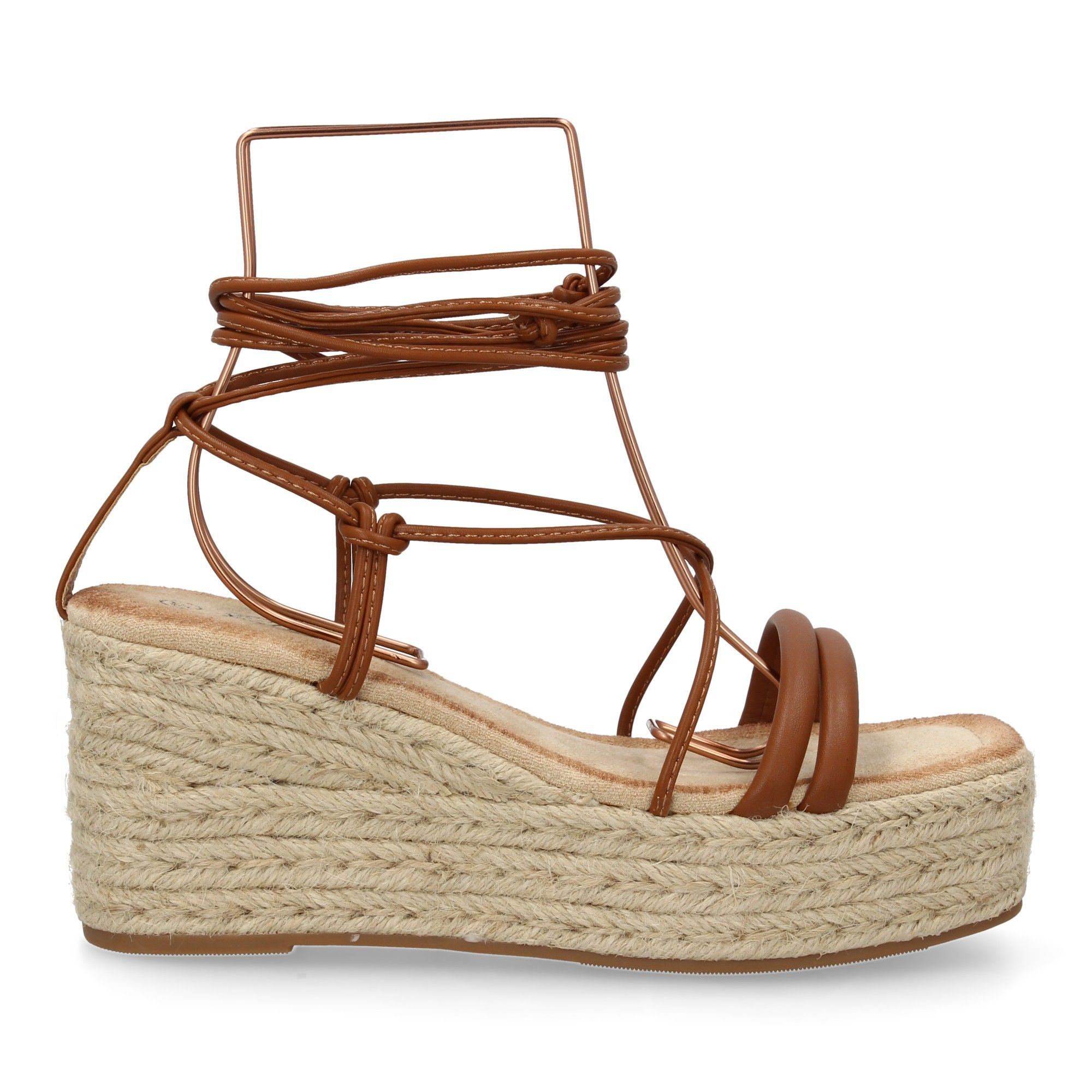 JNS336-Camel_2.jpg