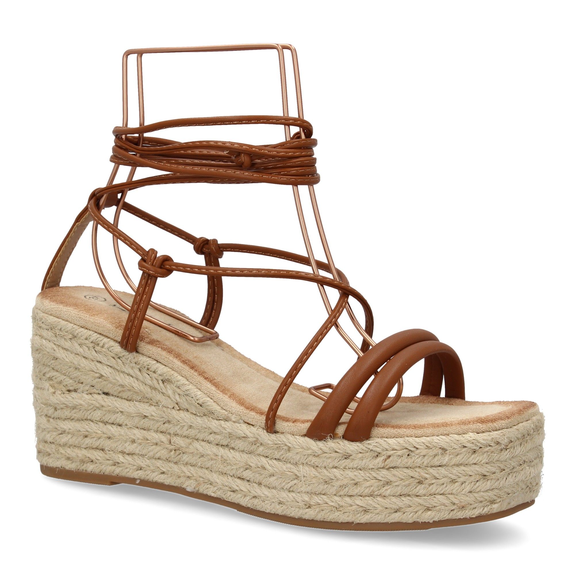 JNS336-Camel_3.jpg