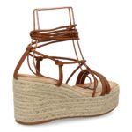 JNS336-Camel_0.jpg